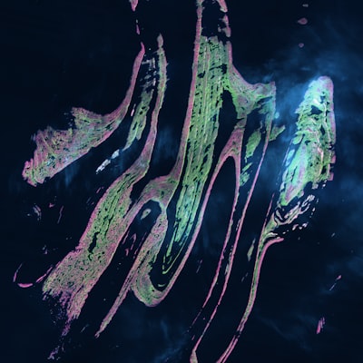 Central Satna Services LLP