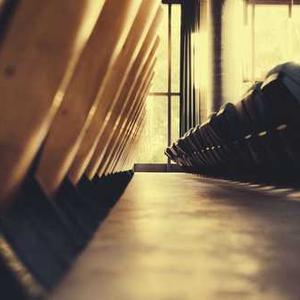 Global Katni Management Pvt Ltd